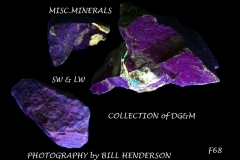 68 Fluorescent Minerals by Bill Henderson