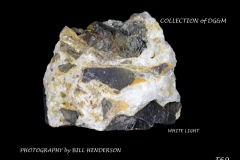 69 Fluorescent Minerals by Bill Henderson