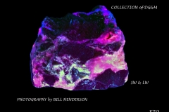 70 Fluorescent Minerals by Bill Henderson