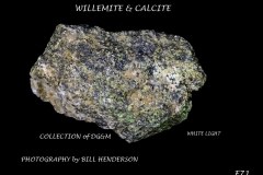 71 Fluorescent Minerals by Bill Henderson