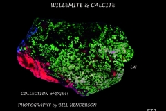 72 Fluorescent Minerals by Bill Henderson