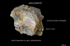 73 Fluorescent Minerals by Bill Henderson