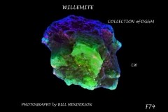 74 Fluorescent Minerals by Bill Henderson