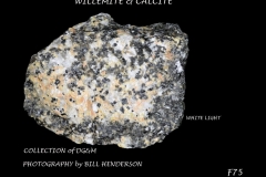 75Fluorescent Minerals by Bill Henderson