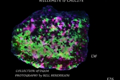 76 Fluorescent Minerals by Bill Henderson