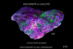 78 Fluorescent Minerals by Bill Henderson