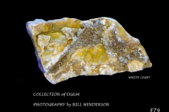 79 Fluorescent Minerals by Bill Henderson