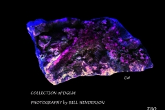 80 Fluorescent Minerals by Bill Henderson