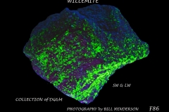 86 Fluorescent Minerals by Bill Henderson