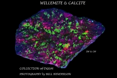 84 Fluorescent Minerals by Bill Henderson
