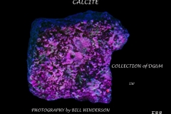 88 Fluorescent Minerals by Bill Henderson