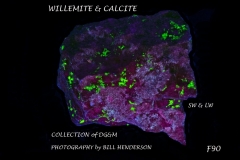 90 Fluorescent Minerals by Bill Henderson