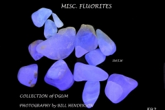 92 Fluorescent Minerals by Bill Henderson