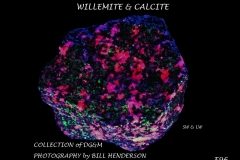 96 Fluorescent Minerals by Bill Henderson