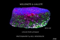 98 Fluorescent Minerals by Bill Henderson