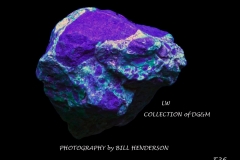 36 Fluorescent Minerals by Bill Henderson