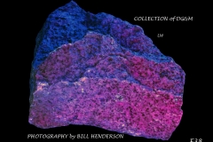 38 Fluorescent Minerals by Bill Henderson