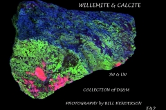 42 Fluorescent Minerals by Bill Henderson
