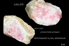 45 Fluorescent Minerals by Bill Henderson