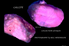 46 Fluorescent Minerals by Bill Henderson