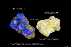 47 Fluorescent Minerals by Bill Henderson