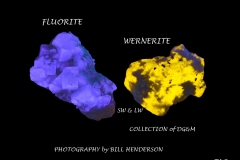 48 Fluorescent Minerals by Bill Henderson