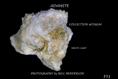 51 Fluorescent Minerals by Bill Henderson
