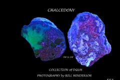 54 Fluorescent Minerals by Bill Henderson