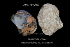 53 Fluorescent Minerals by Bill Henderson
