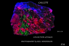 56 Fluorescent Minerals by Bill Henderson