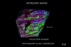 58 Fluorescent Minerals by Bill Henderson