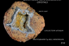 59 Fluorescent Minerals by Bill Henderson