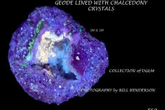 60 Fluorescent Minerals by Bill Henderson