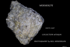 61 Fluorescent Minerals by Bill Henderson