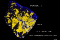 62 Fluorescent Minerals by Bill Henderson