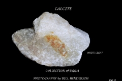 63 Fluorescent Minerals by Bill Henderson
