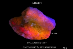 64 Fluorescent Minerals by Bill Henderson