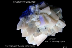 16 Fluorescent Minerals by Bill Henderson