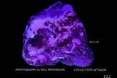 22 Fluorescent Minerals by Bill Henderson