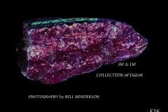 26 Fluorescent Minerals by Bill Henderson