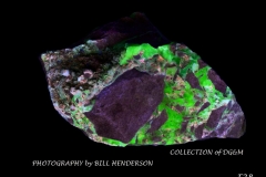 28 Fluorescent Minerals by Bill Henderson