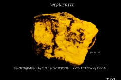 30 Fluorescent Minerals by Bill Henderson
