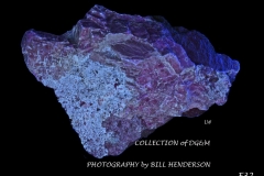 32 Fluorescent Minerals by Bill Henderson