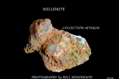 5 Fluorescent Minerals by Bill Henderson