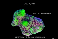 6 Fluorescent Minerals by Bill Henderson
