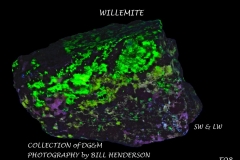 8 Fluorescent Minerals by Bill Henderson