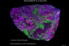 12 Fluorescent Minerals by Bill Henderson