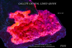 102 Fluorescent Minerals by Bill Henderson