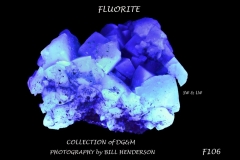 106 Fluorescent Minerals by Bill Henderson