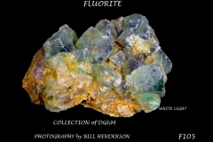105 Fluorescent Minerals by Bill Henderson